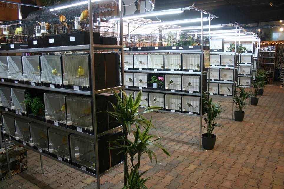 Led-TL-armatuur-150-cm-koud-wit.jpg Led-TL-armatuur-150-cm-koud-wit.jpg